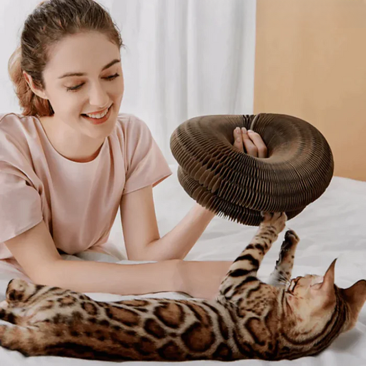 Jouet pour chat CatStory™