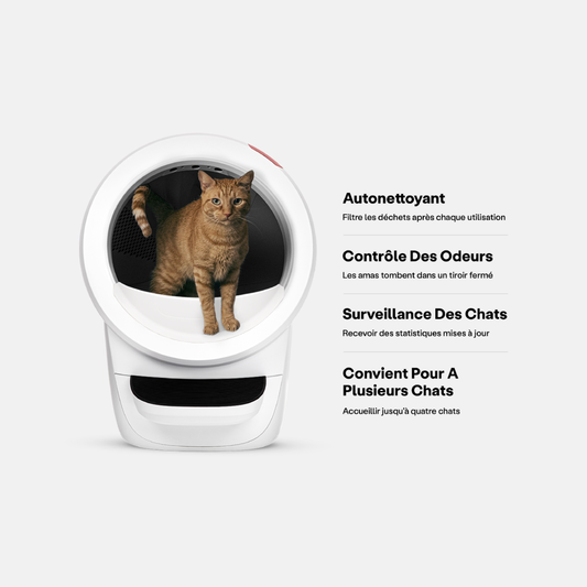 Litière automatique auto-nettoyante