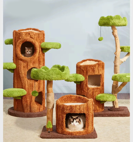 Arbre à chat Dublin